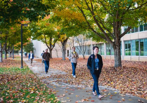 Students walking on the quad in the fall with colorful leaves on the ground